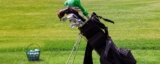 What Golf Equipment Do You Actually Need as a Beginner?
